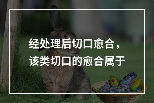 经处理后切口愈合，该类切口的愈合属于