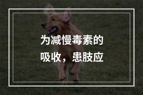 为减慢毒素的吸收，患肢应