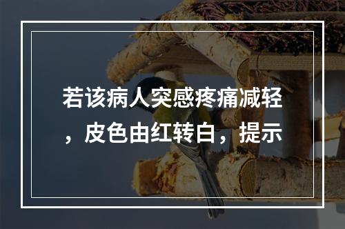 若该病人突感疼痛减轻，皮色由红转白，提示