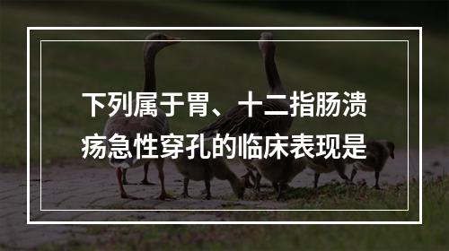 下列属于胃、十二指肠溃疡急性穿孔的临床表现是