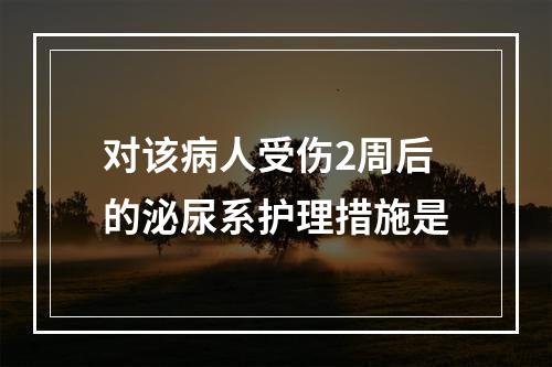 对该病人受伤2周后的泌尿系护理措施是