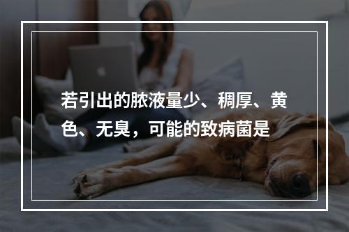 若引出的脓液量少、稠厚、黄色、无臭，可能的致病菌是