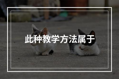 此种教学方法属于