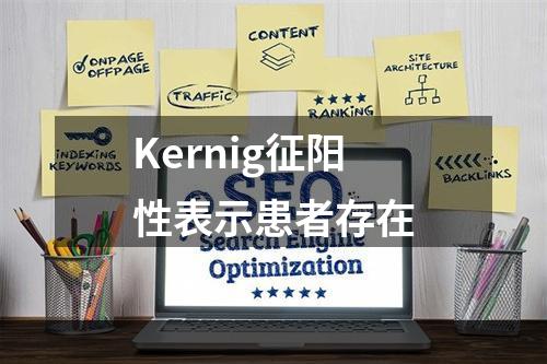 Kernig征阳性表示患者存在