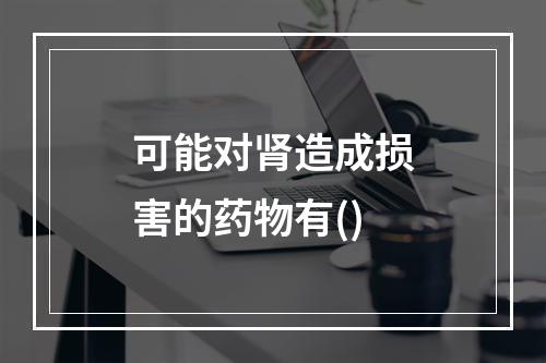 可能对肾造成损害的药物有()