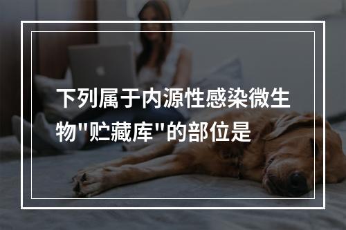 下列属于内源性感染微生物