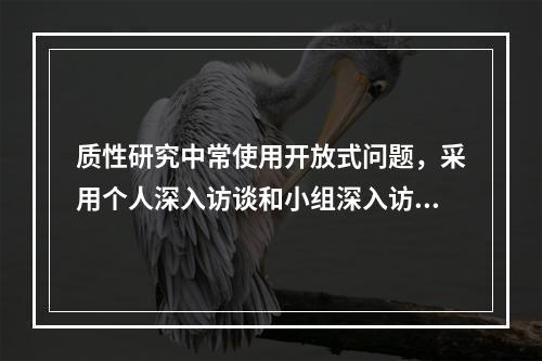 质性研究中常使用开放式问题，采用个人深入访谈和小组深入访谈收