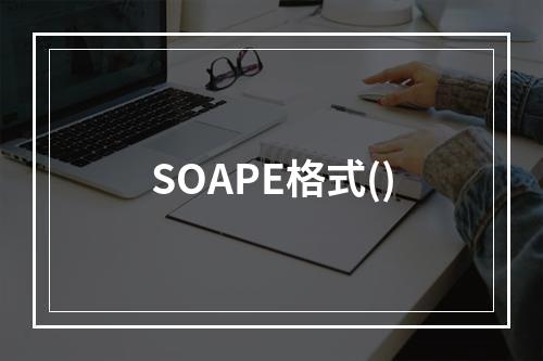 SOAPE格式()