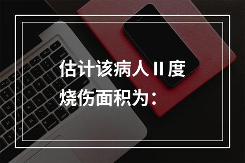 估计该病人Ⅱ度烧伤面积为：