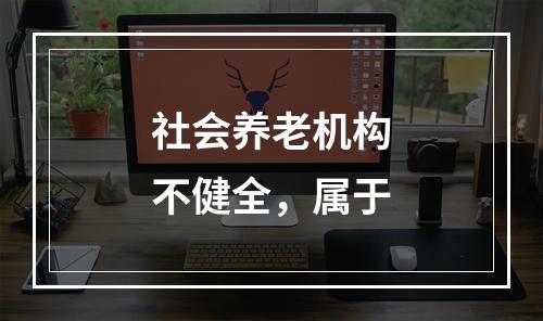 社会养老机构不健全，属于