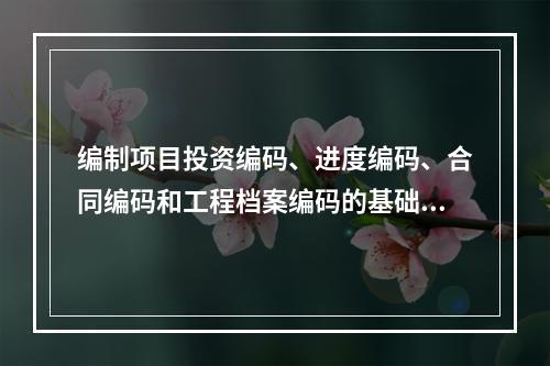 编制项目投资编码、进度编码、合同编码和工程档案编码的基础是（