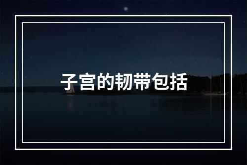 子宫的韧带包括