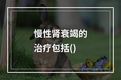 慢性肾衰竭的治疗包括()