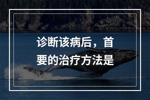 诊断该病后，首要的治疗方法是