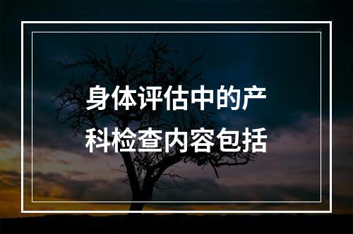 身体评估中的产科检查内容包括