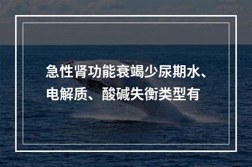 急性肾功能衰竭少尿期水、电解质、酸碱失衡类型有