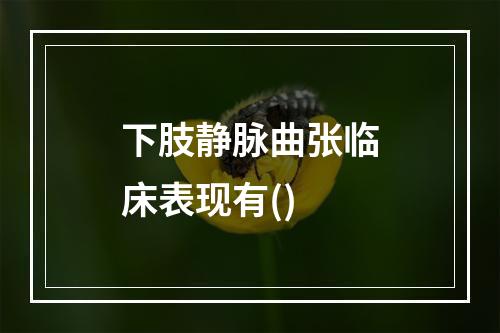 下肢静脉曲张临床表现有()