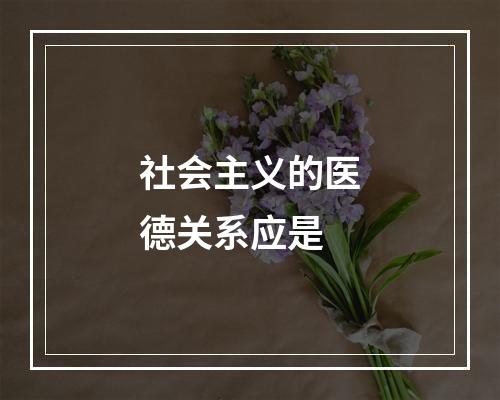 社会主义的医德关系应是