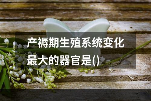 产褥期生殖系统变化最大的器官是()