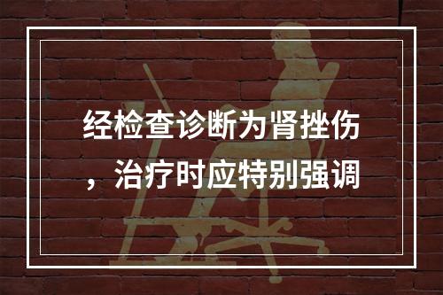 经检查诊断为肾挫伤，治疗时应特别强调