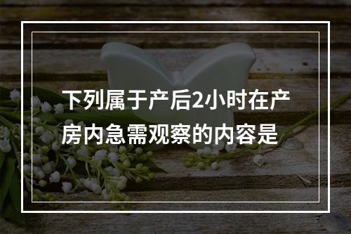 下列属于产后2小时在产房内急需观察的内容是