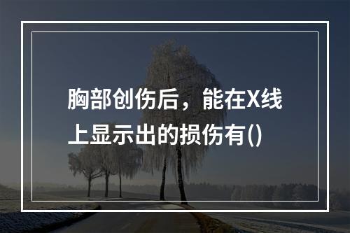 胸部创伤后，能在X线上显示出的损伤有()