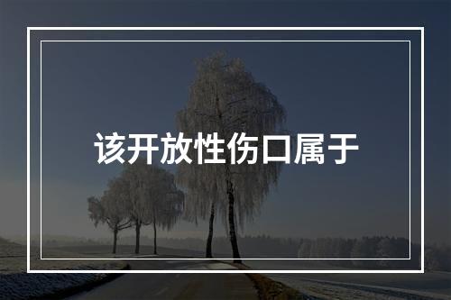 该开放性伤口属于