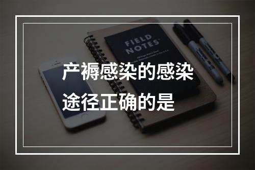 产褥感染的感染途径正确的是