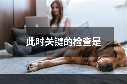 此时关键的检查是