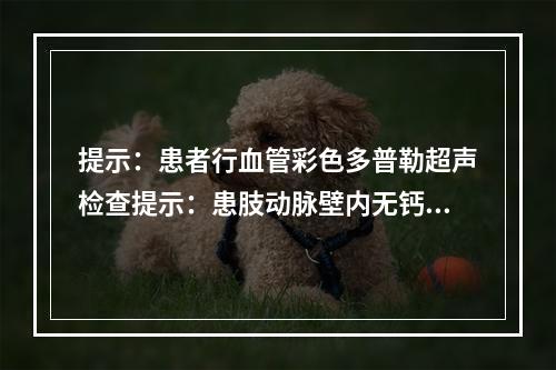 提示：患者行血管彩色多普勒超声检查提示：患肢动脉壁内无钙化。