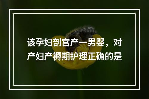 该孕妇剖宫产一男婴，对产妇产褥期护理正确的是