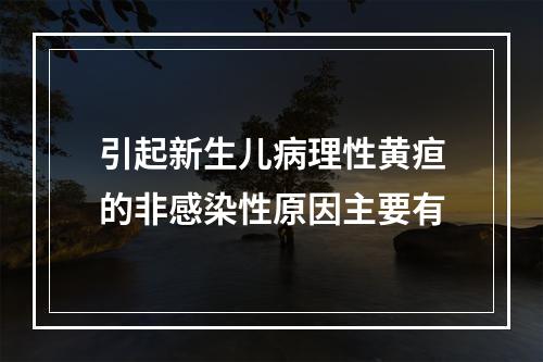 引起新生儿病理性黄疸的非感染性原因主要有