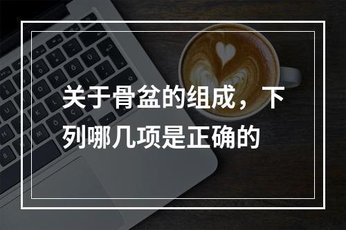 关于骨盆的组成，下列哪几项是正确的