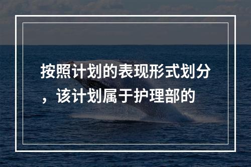 按照计划的表现形式划分，该计划属于护理部的