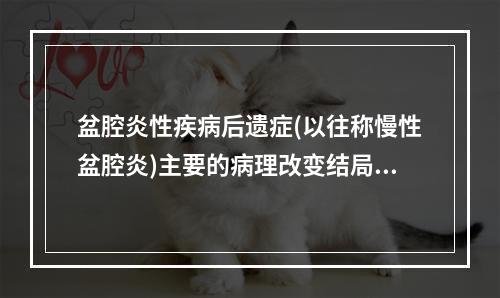 盆腔炎性疾病后遗症(以往称慢性盆腔炎)主要的病理改变结局是(