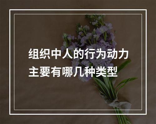 组织中人的行为动力主要有哪几种类型