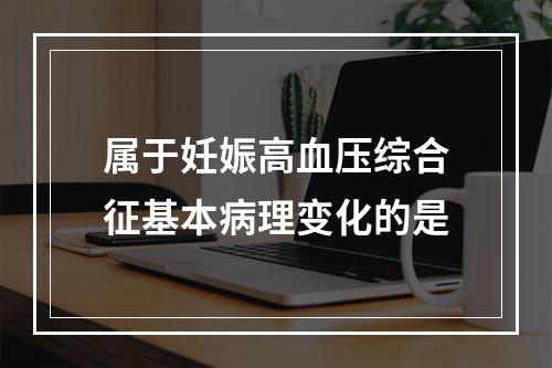 属于妊娠高血压综合征基本病理变化的是