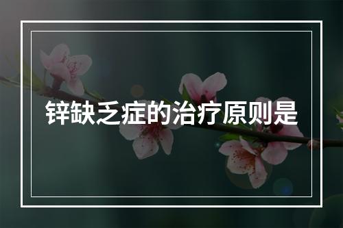 锌缺乏症的治疗原则是