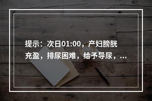 提示：次日01:00，产妇膀胱充盈，排尿困难，给予导尿，阴道