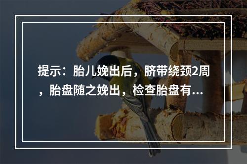 提示：胎儿娩出后，脐带绕颈2周，胎盘随之娩出，检查胎盘有1/