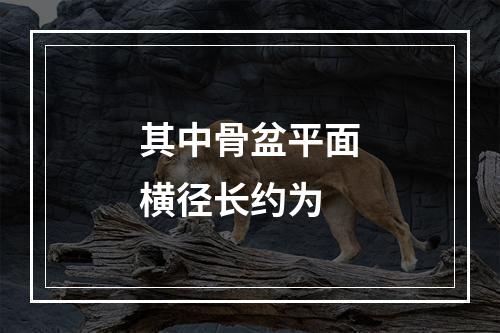 其中骨盆平面横径长约为