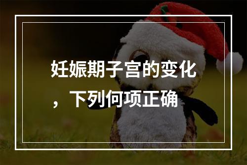 妊娠期子宫的变化，下列何项正确