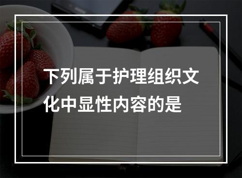 下列属于护理组织文化中显性内容的是