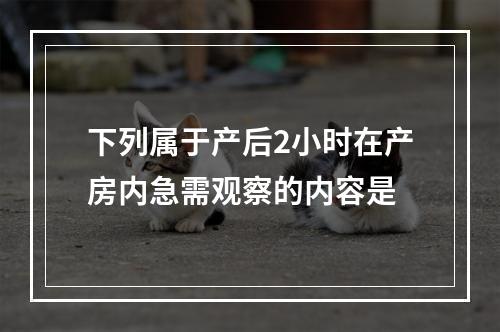 下列属于产后2小时在产房内急需观察的内容是