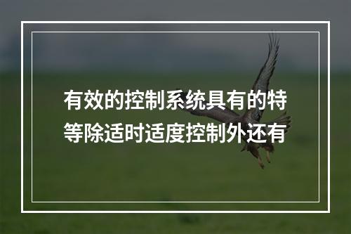 有效的控制系统具有的特等除适时适度控制外还有