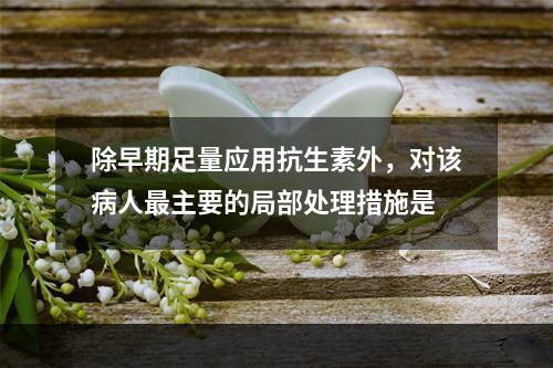 除早期足量应用抗生素外，对该病人最主要的局部处理措施是