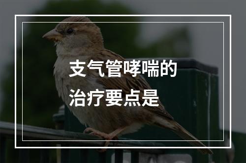 支气管哮喘的治疗要点是