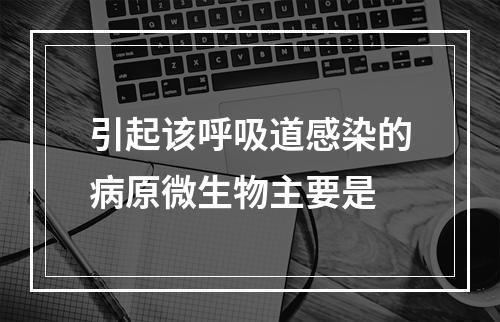 引起该呼吸道感染的病原微生物主要是