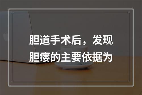 胆道手术后，发现胆瘘的主要依据为