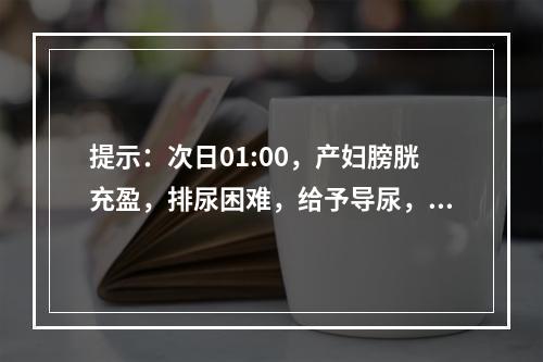 提示：次日01:00，产妇膀胱充盈，排尿困难，给予导尿，阴道